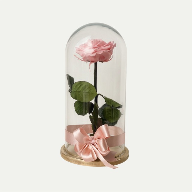 Rosa eterna