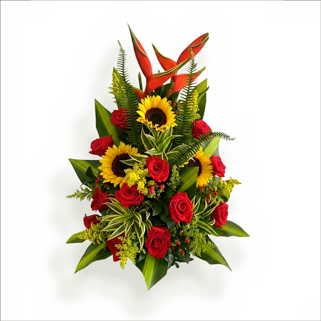 HELICONIA